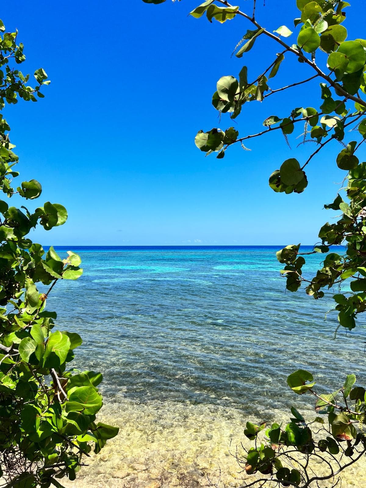 Beachfront Development Land For Sale - East End — photo 4 of 8