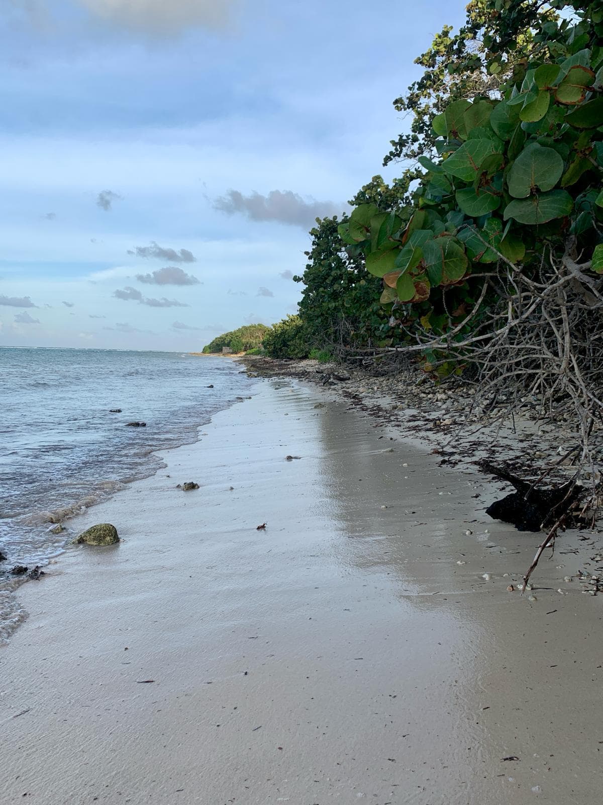 Beachfront Development Land For Sale - East End — photo 6 of 8